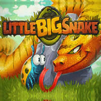 Little Big Snake .io